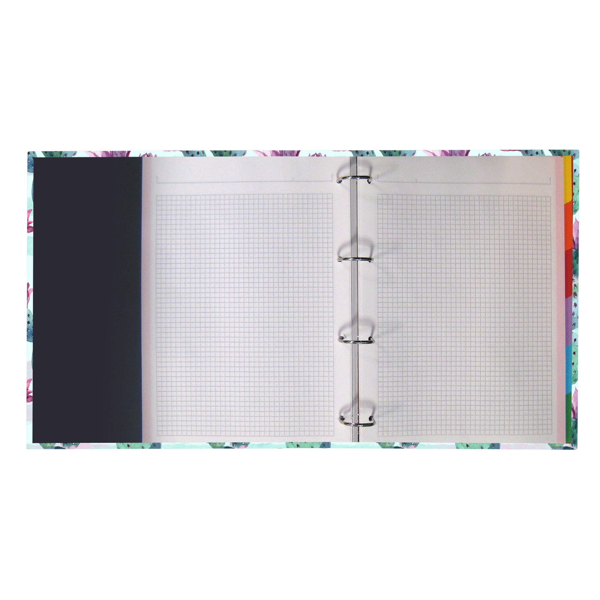 oh-my-pop-nopal-classeur-4-anneaux-a4-lastique-feuilles image 2